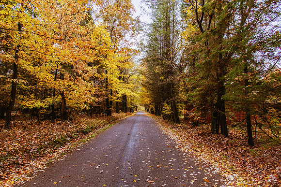 Jordan Hill Road 2020_10_21