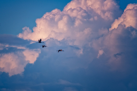 sandhill clouds 2021_02_10