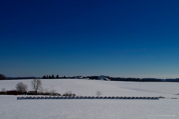 Nickleville - Baytree Farm