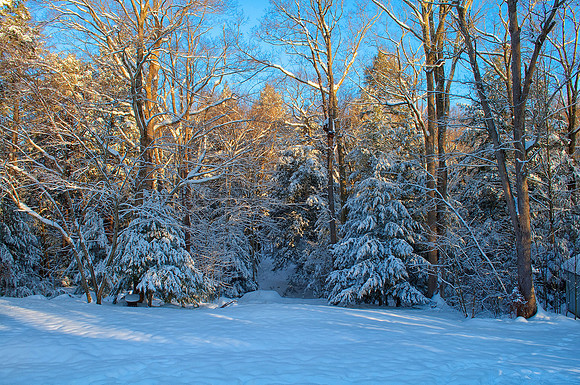 Rockland - Backyard in Winter