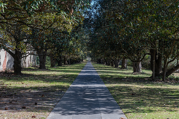 brookgreen gardent 6 2022_03_07-facebook