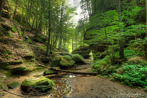 Hocking Hills - Old Mans Cave Stream