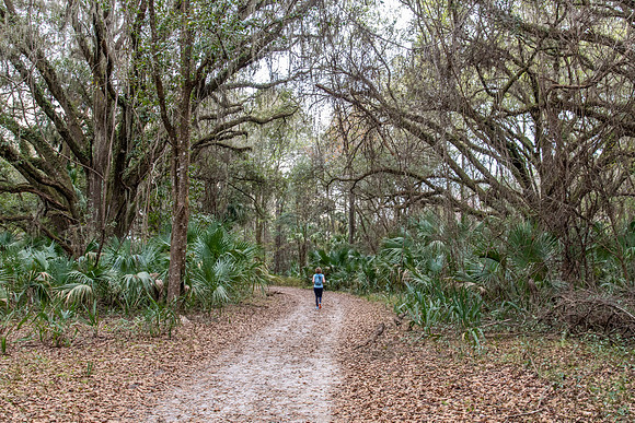 leeann lake trail paynes prairie 2022_02_12-facebook