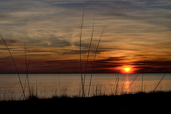 Alligator Point Dolphin Sunset