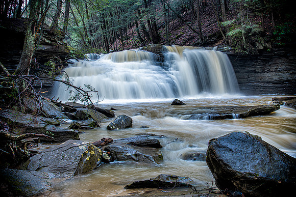 freedom falls 1 2022_04_07