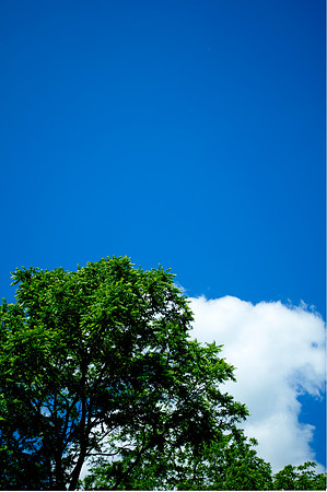 Geneva State Park - Blue Sky