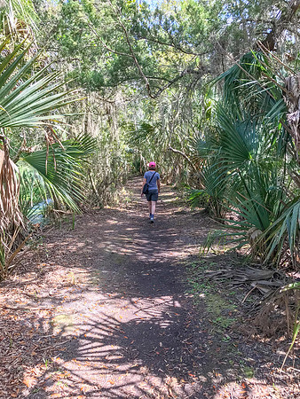 leeann trail fort clinch state park 2022_02_25-facebook