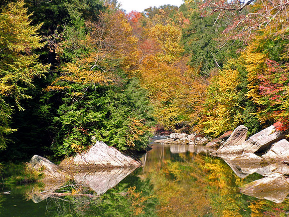 McConnells Mills - Autumn