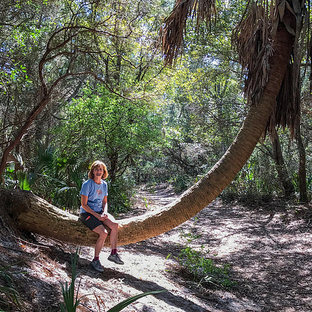 leeann palm tree little talbot island 2022_02_26-facebook