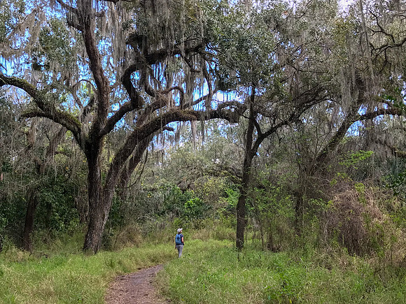 leeann trail 3 circle b bar 2022_02_16-facebook